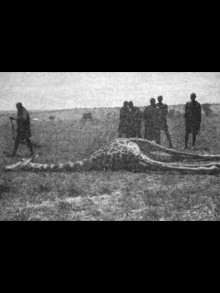 InShot_20250726_023454224