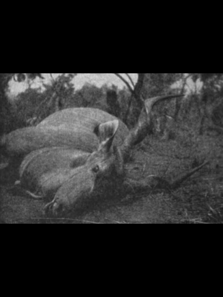 InShot_20250726_023537486