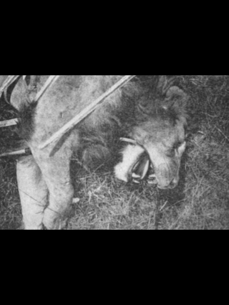 InShot_20250726_023618654