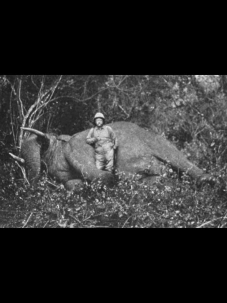 InShot_20250726_023709650