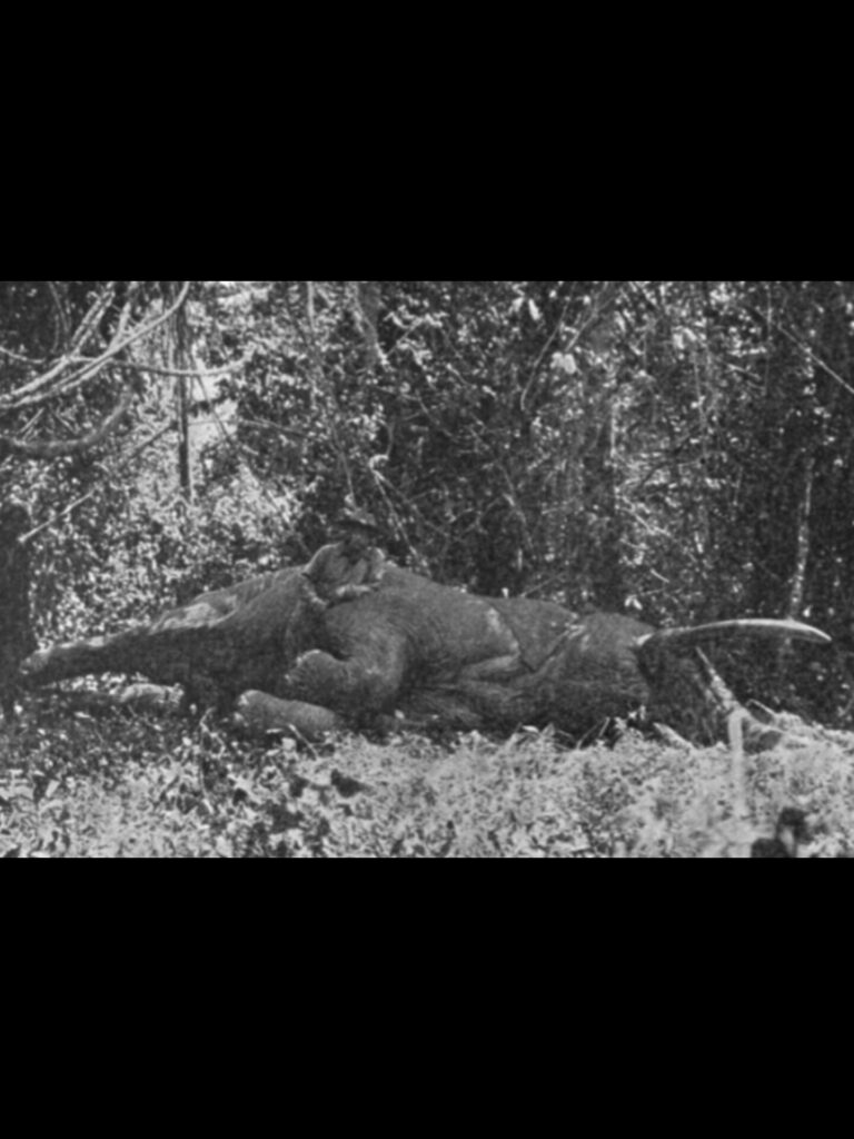 InShot_20250726_023748767