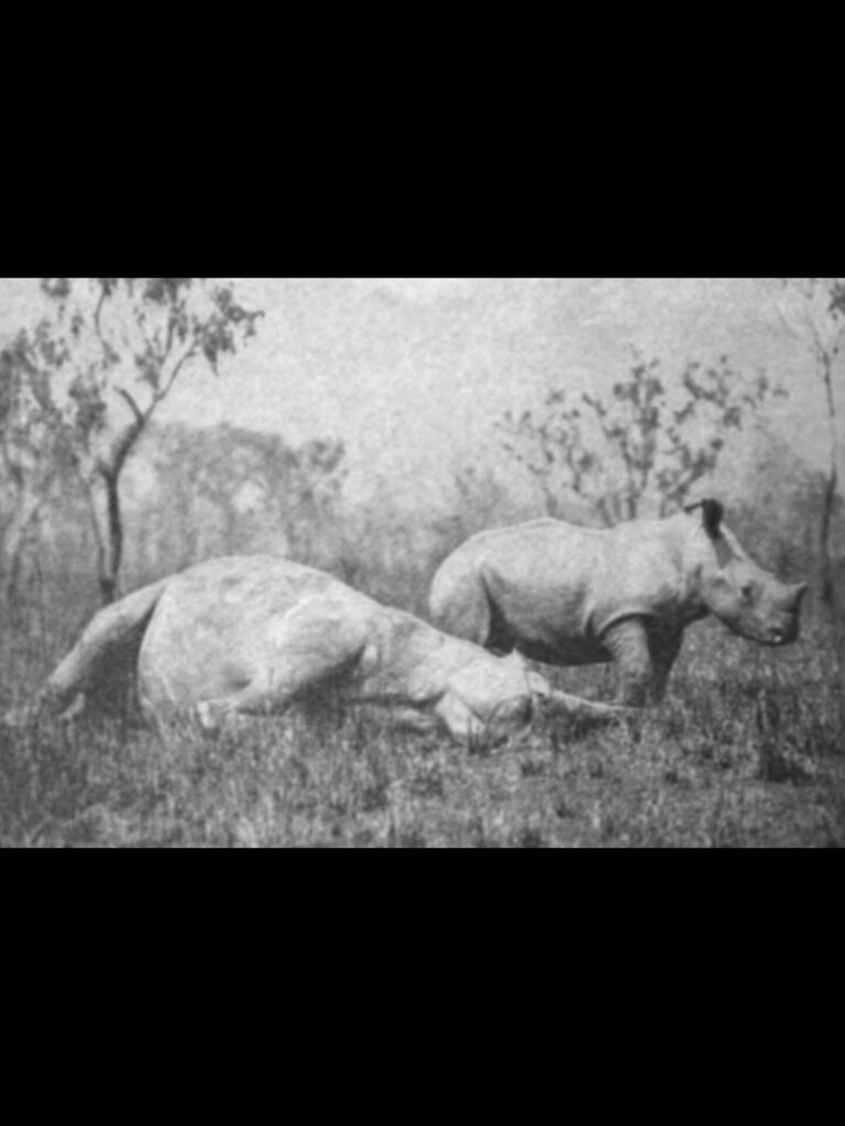 InShot_20250726_023829881