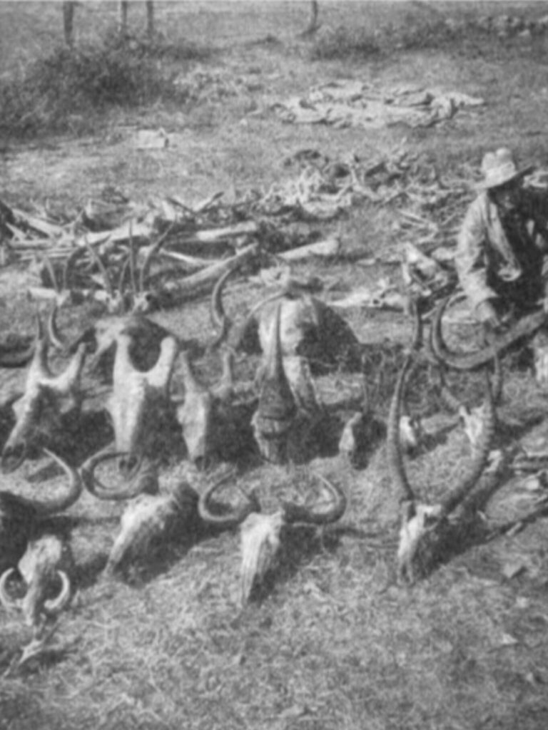 InShot_20250726_024758410