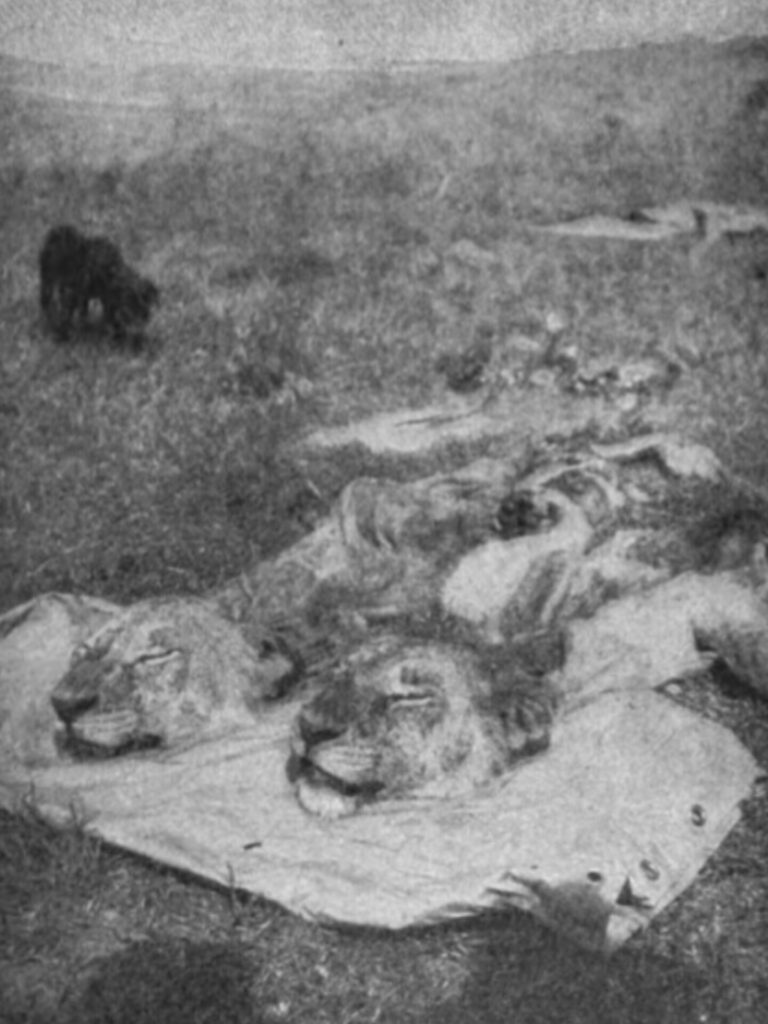 InShot_20250726_140841293