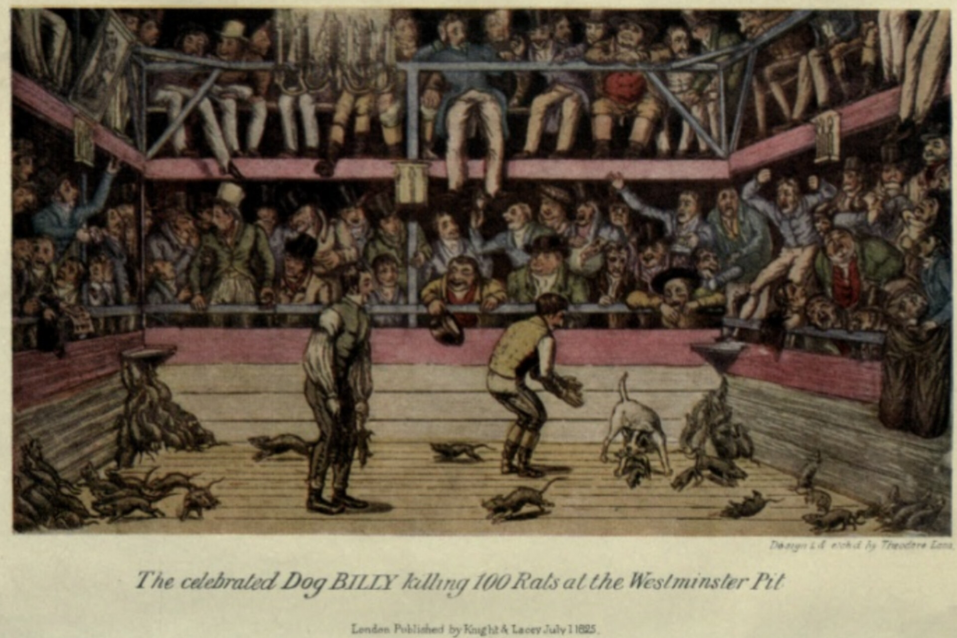 Rat Baiting